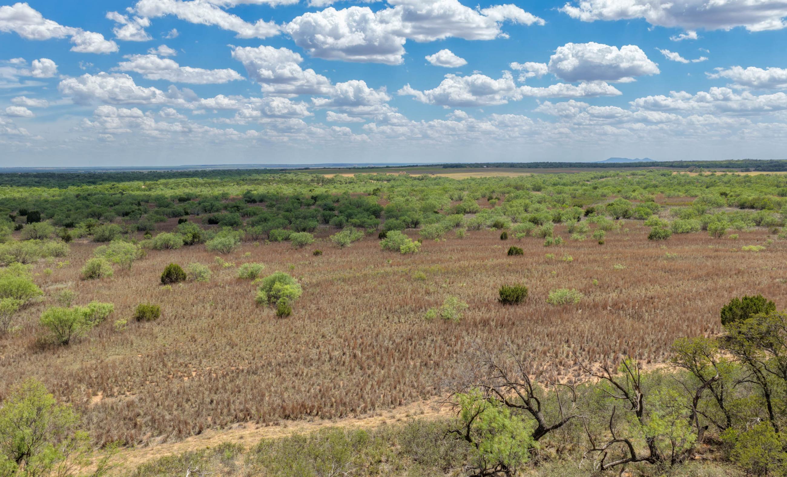 Stonewall Highway 83 Ranch property photograph 8