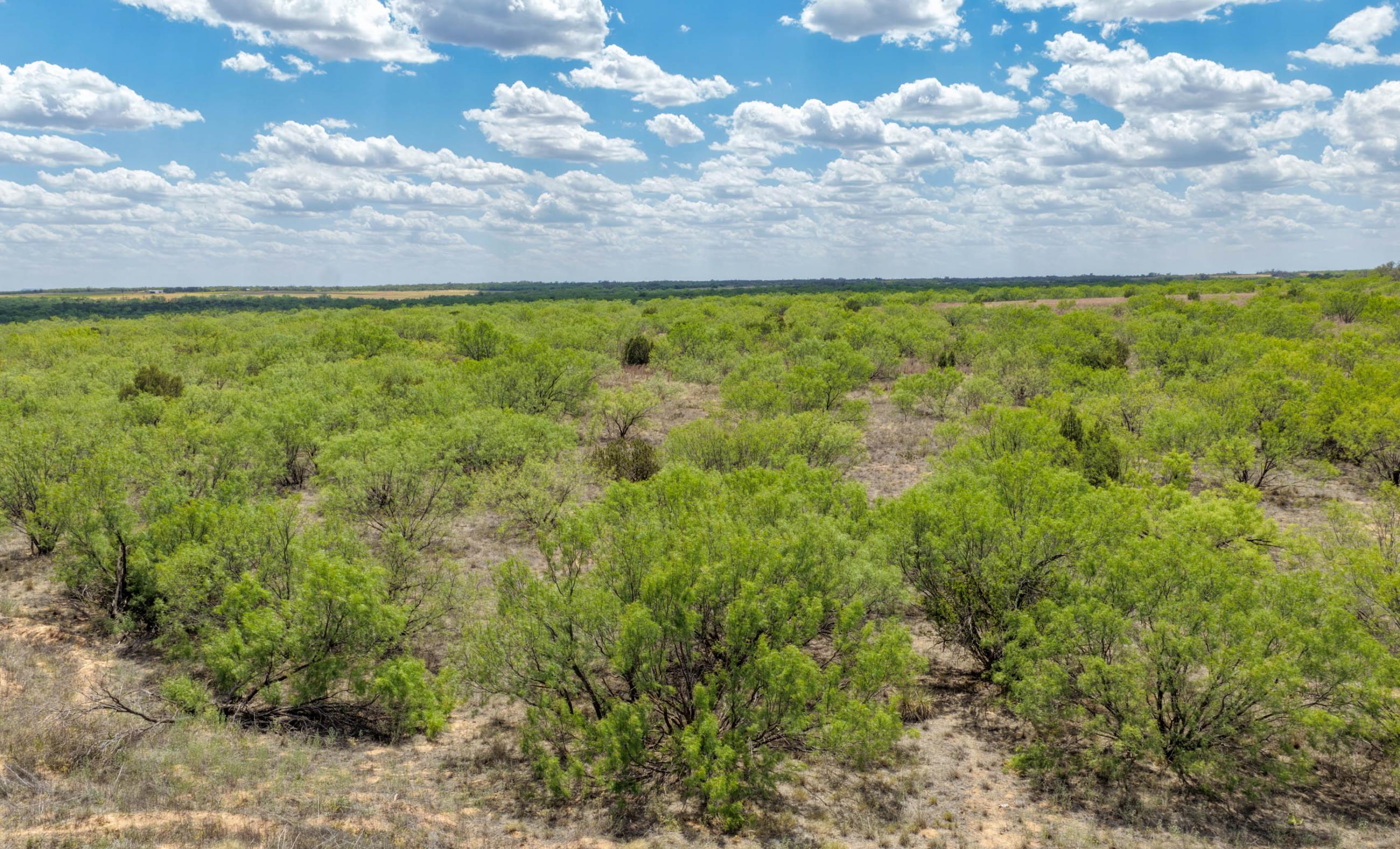 Stonewall Highway 83 Ranch property photograph 11