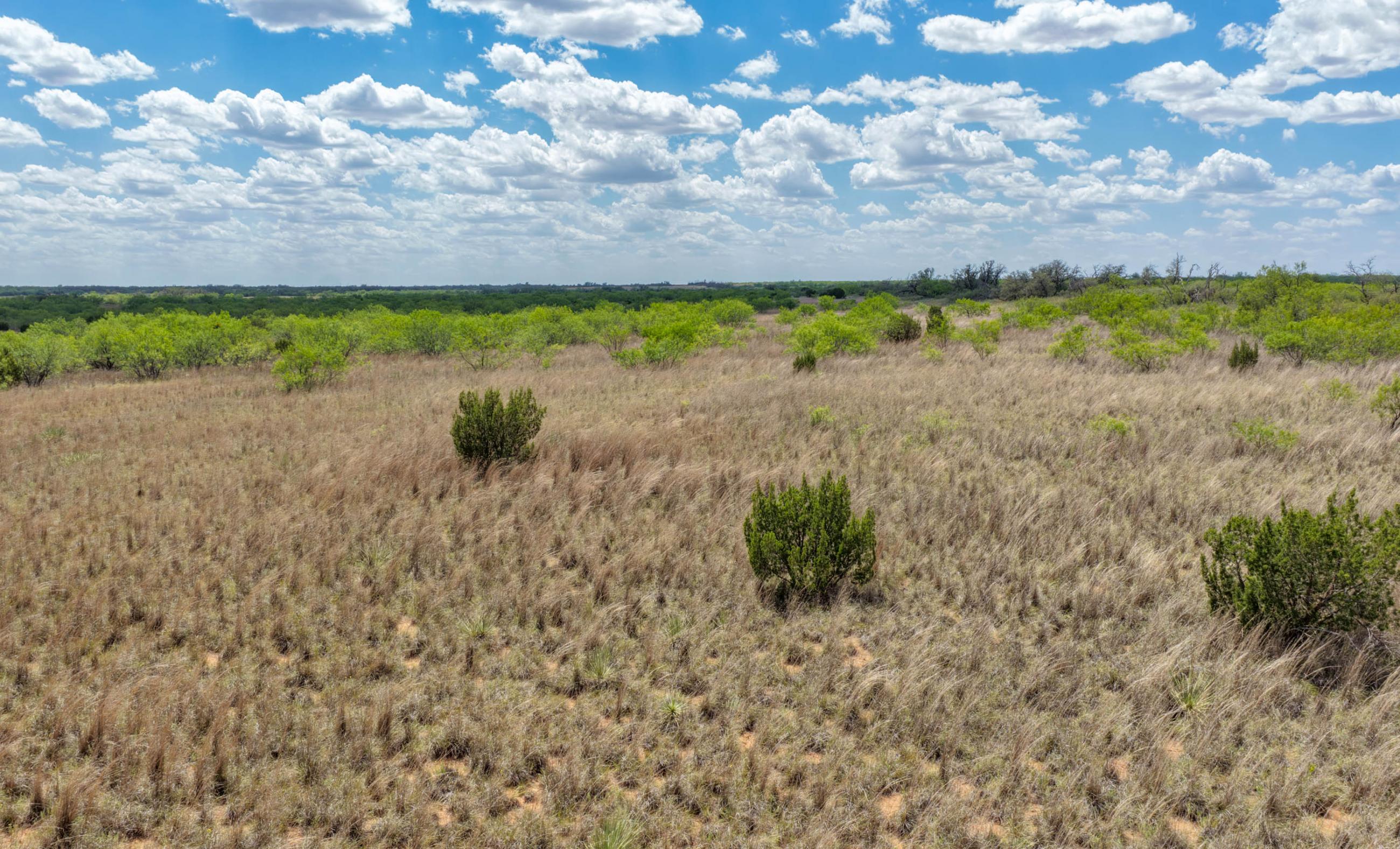 Stonewall Highway 83 Ranch property photograph 9