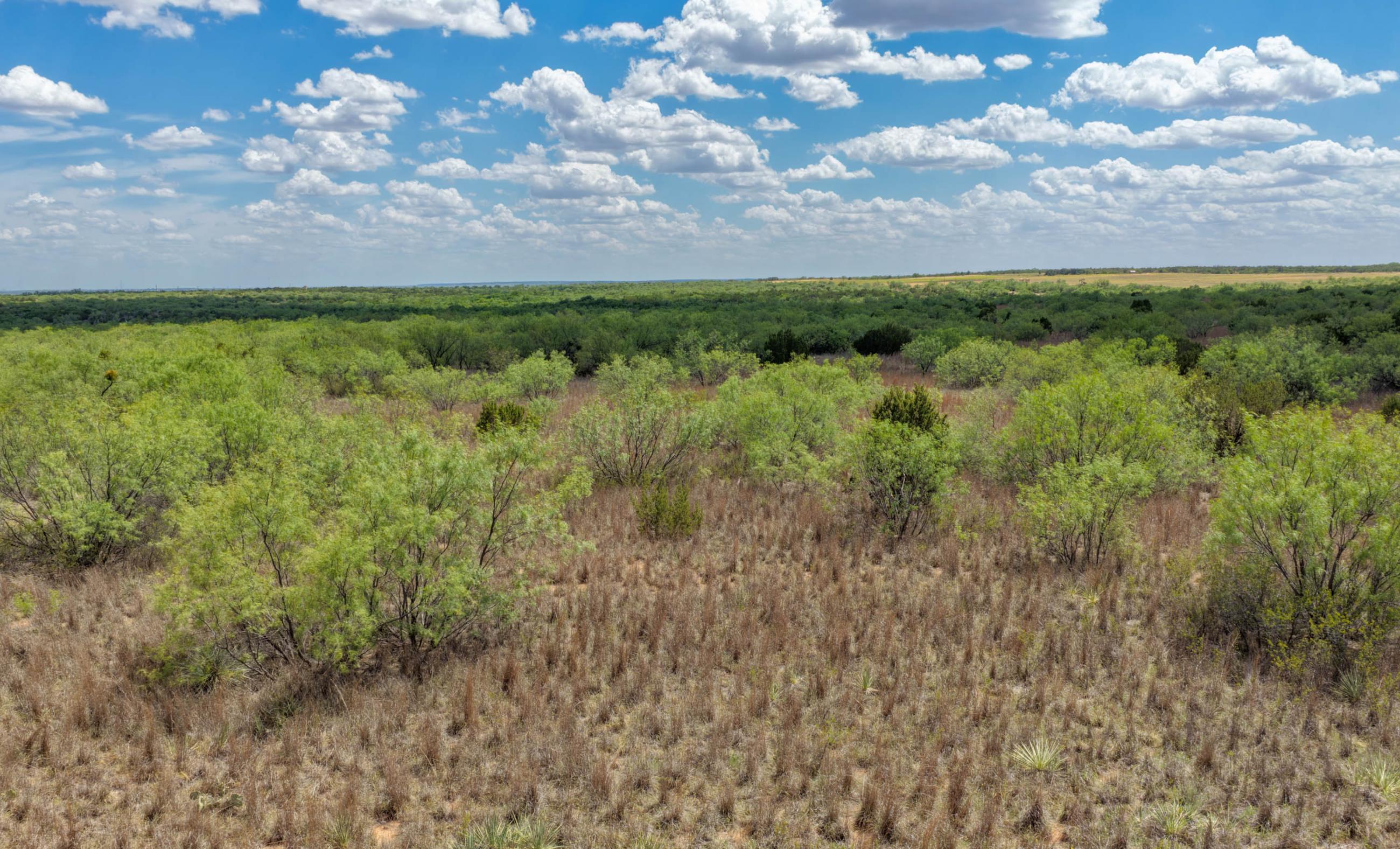 Stonewall Highway 83 Ranch property photograph 10