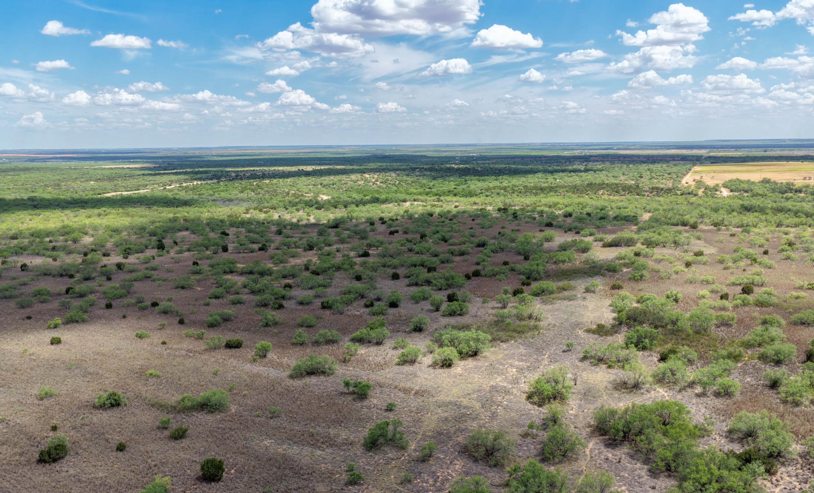 Stonewall Highway 83 Ranch property photograph 6