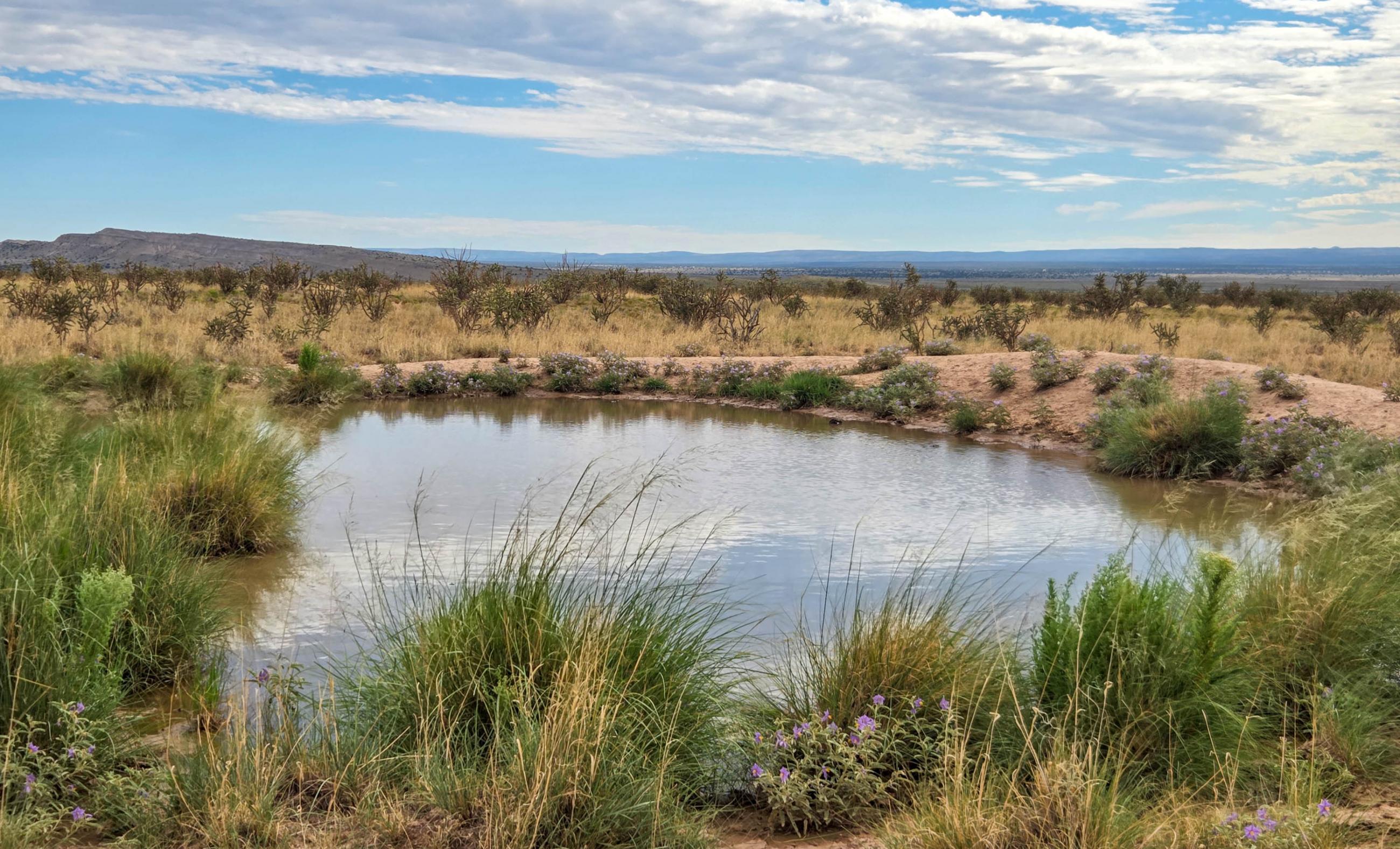 Sierra Larga Ranch property photograph 8