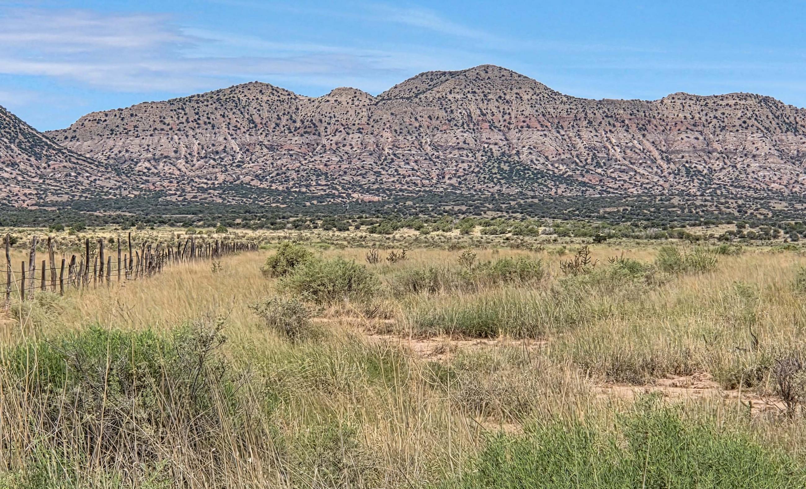 Sierra Larga Ranch property photograph 22