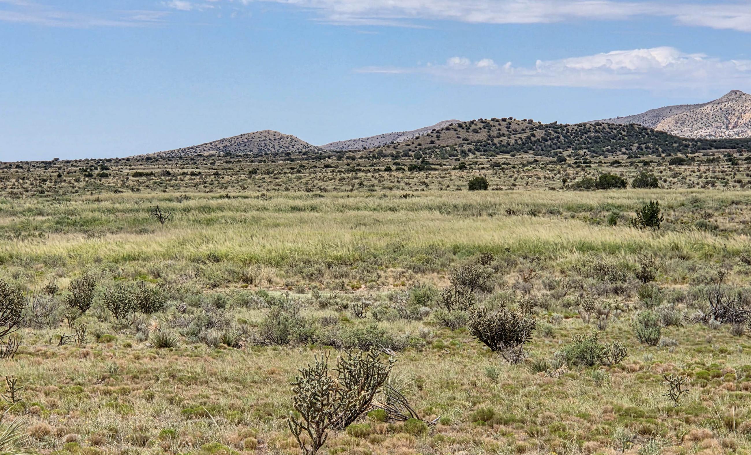 Sierra Larga Ranch property photograph 25