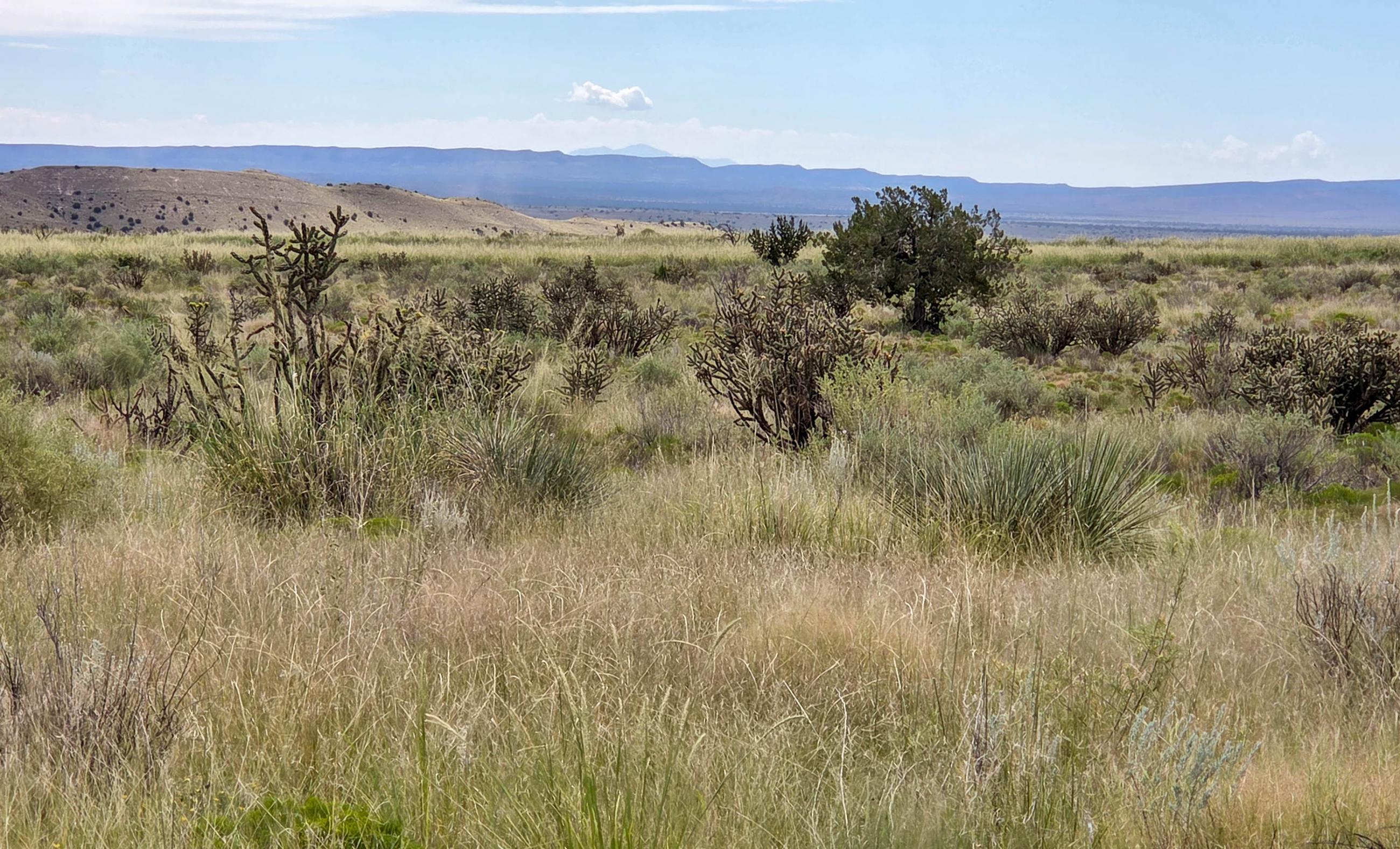 Sierra Larga Ranch property photograph 21