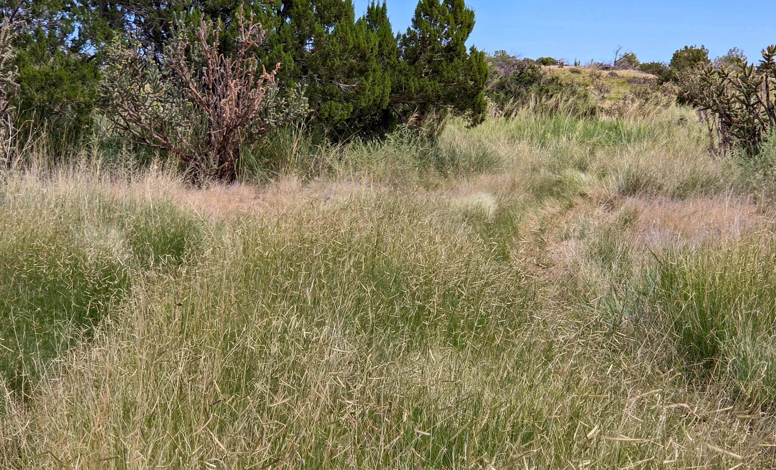 Sierra Larga Ranch property photograph 5