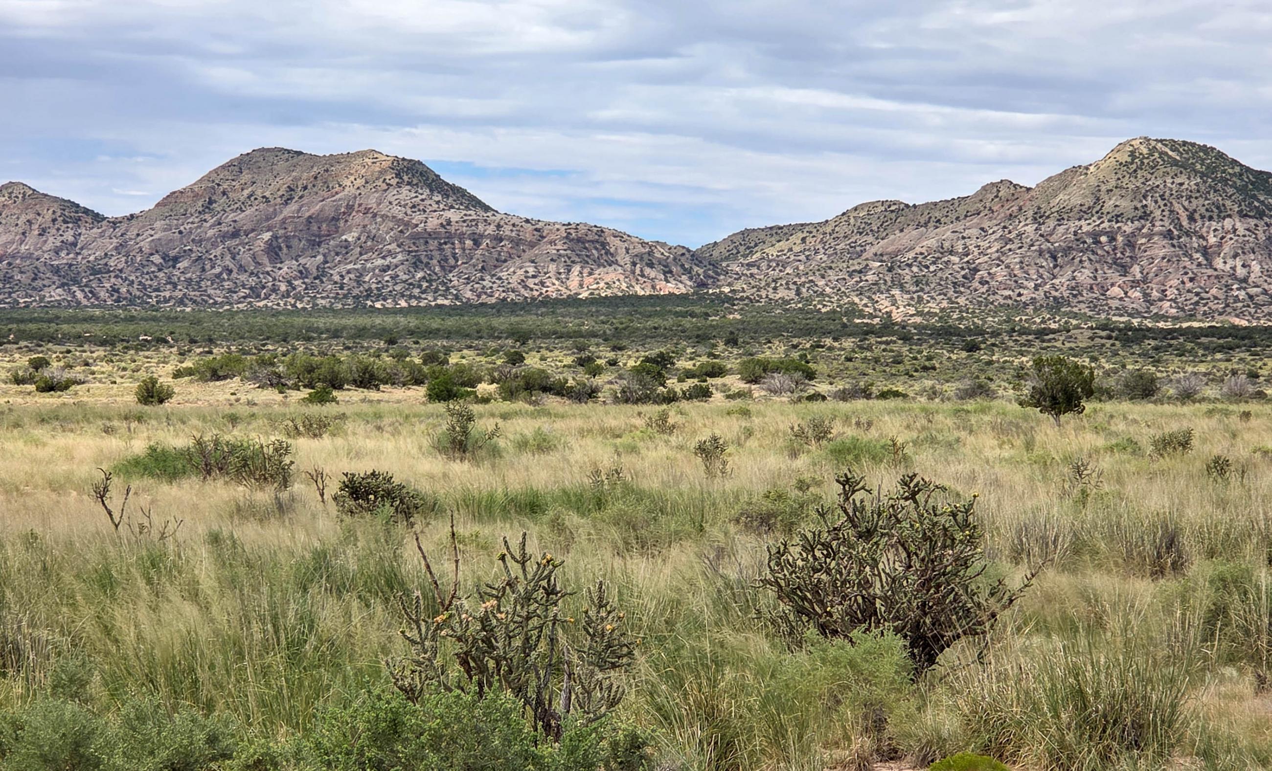 Sierra Larga Ranch property photograph 10