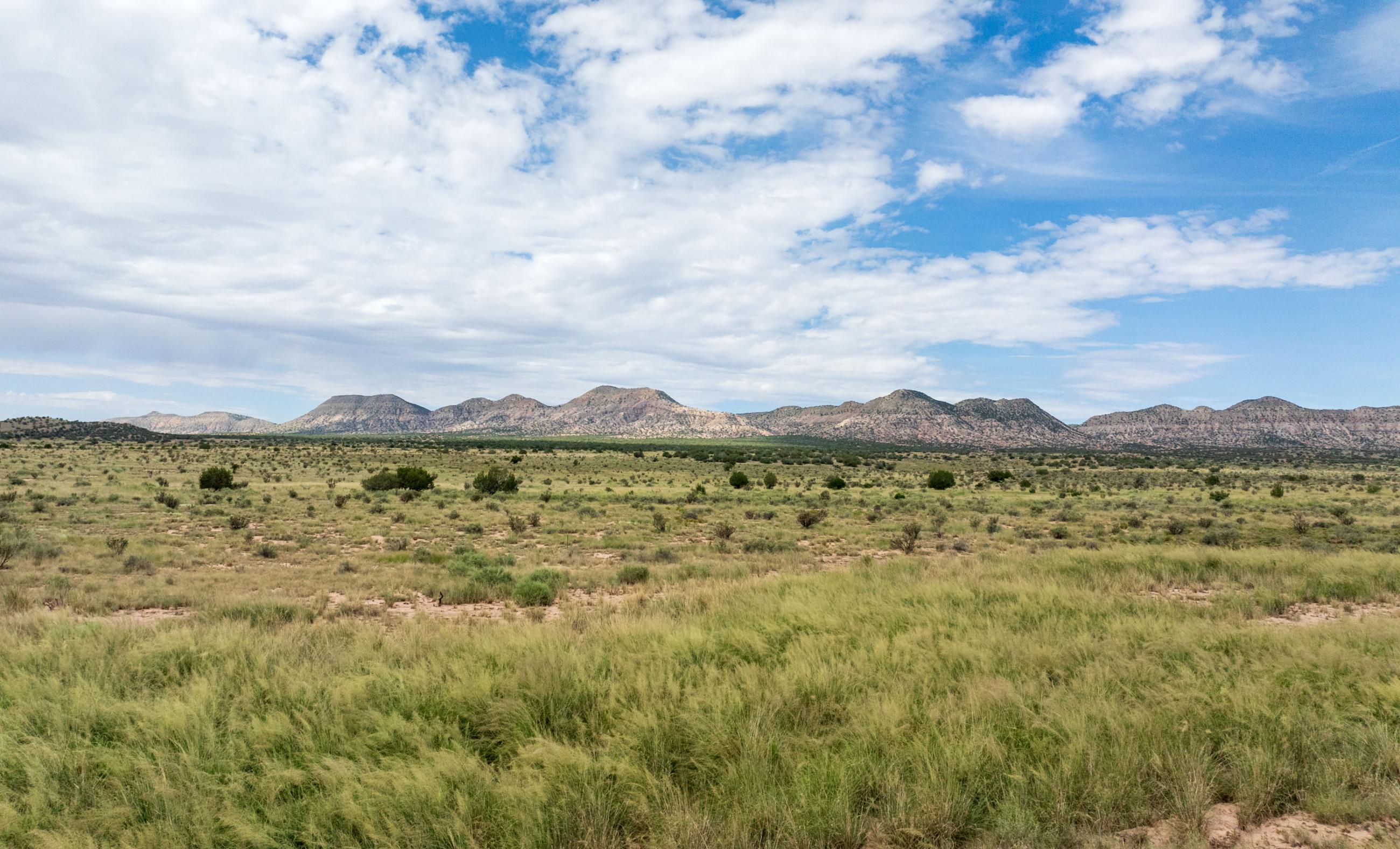 Sierra Larga Ranch property photograph 19