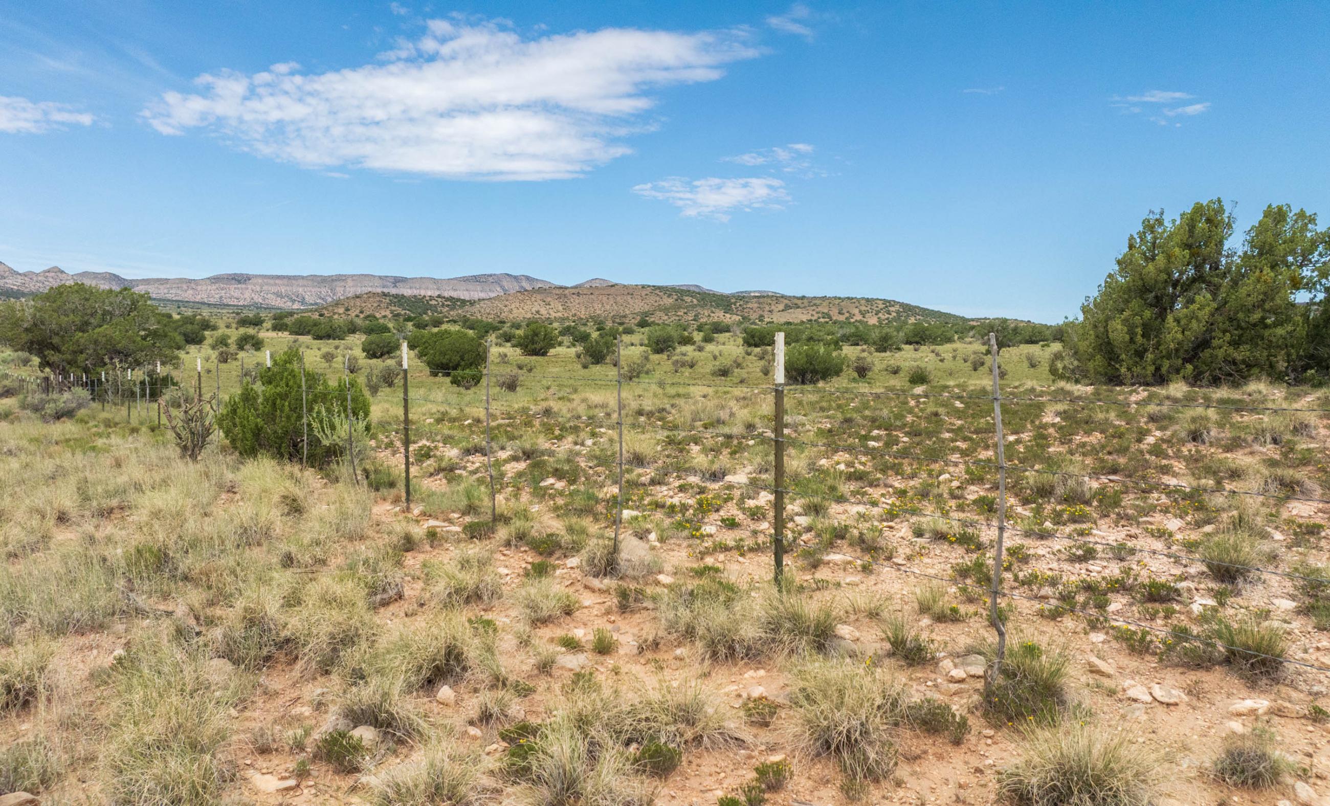 Sierra Larga Ranch property photograph 28