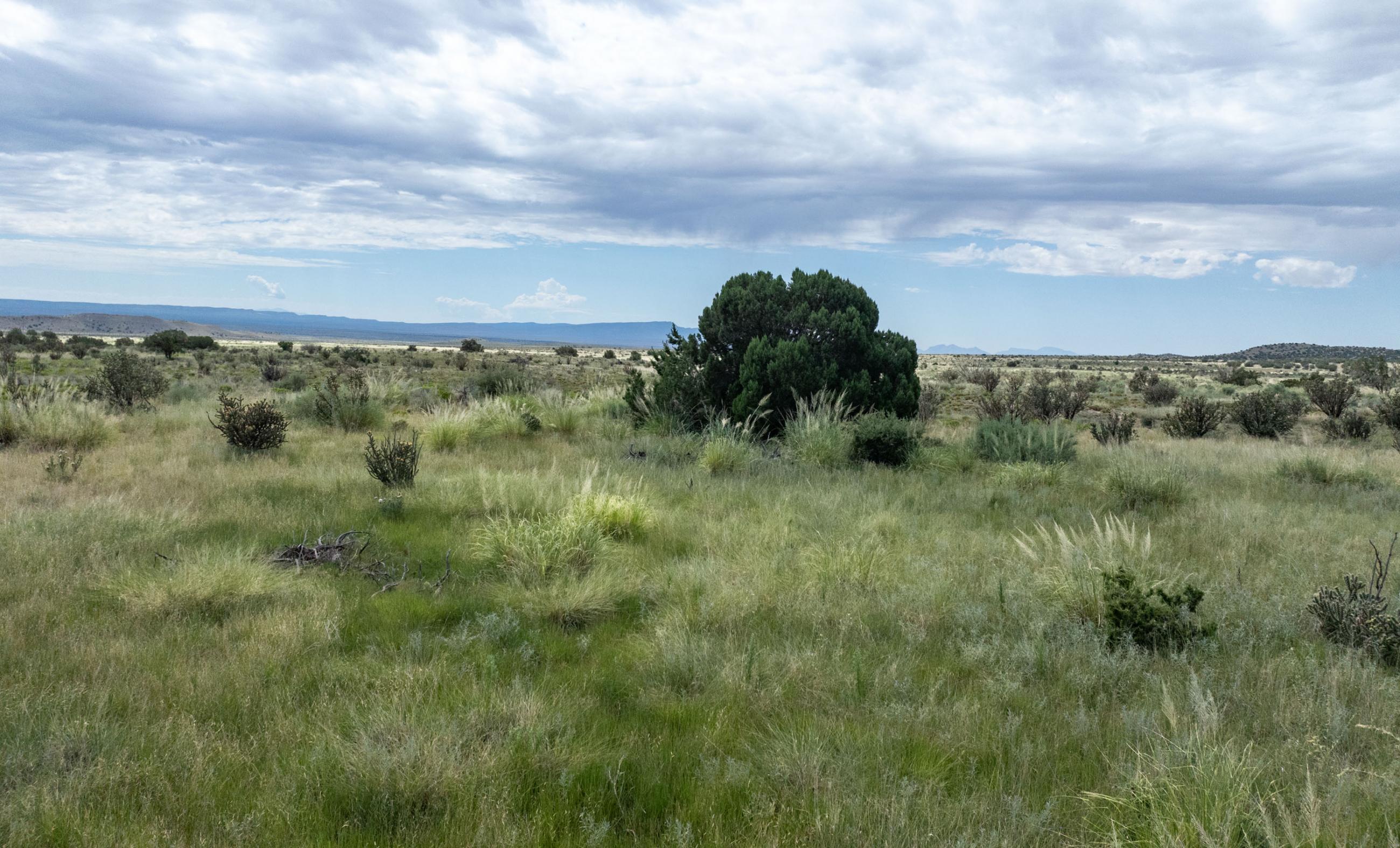 Sierra Larga Ranch property photograph 4