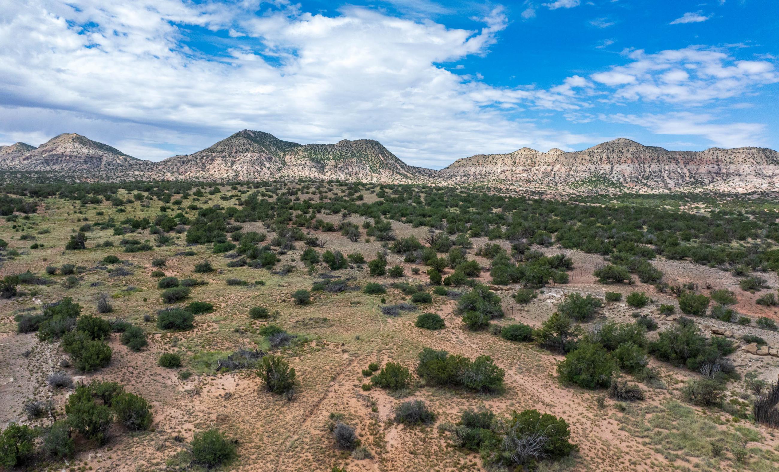 Sierra Larga Ranch property photograph 6
