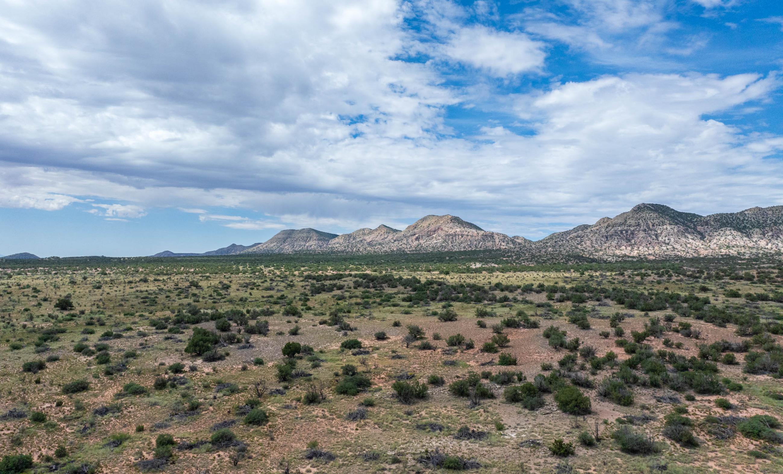 Sierra Larga Ranch property photograph 29