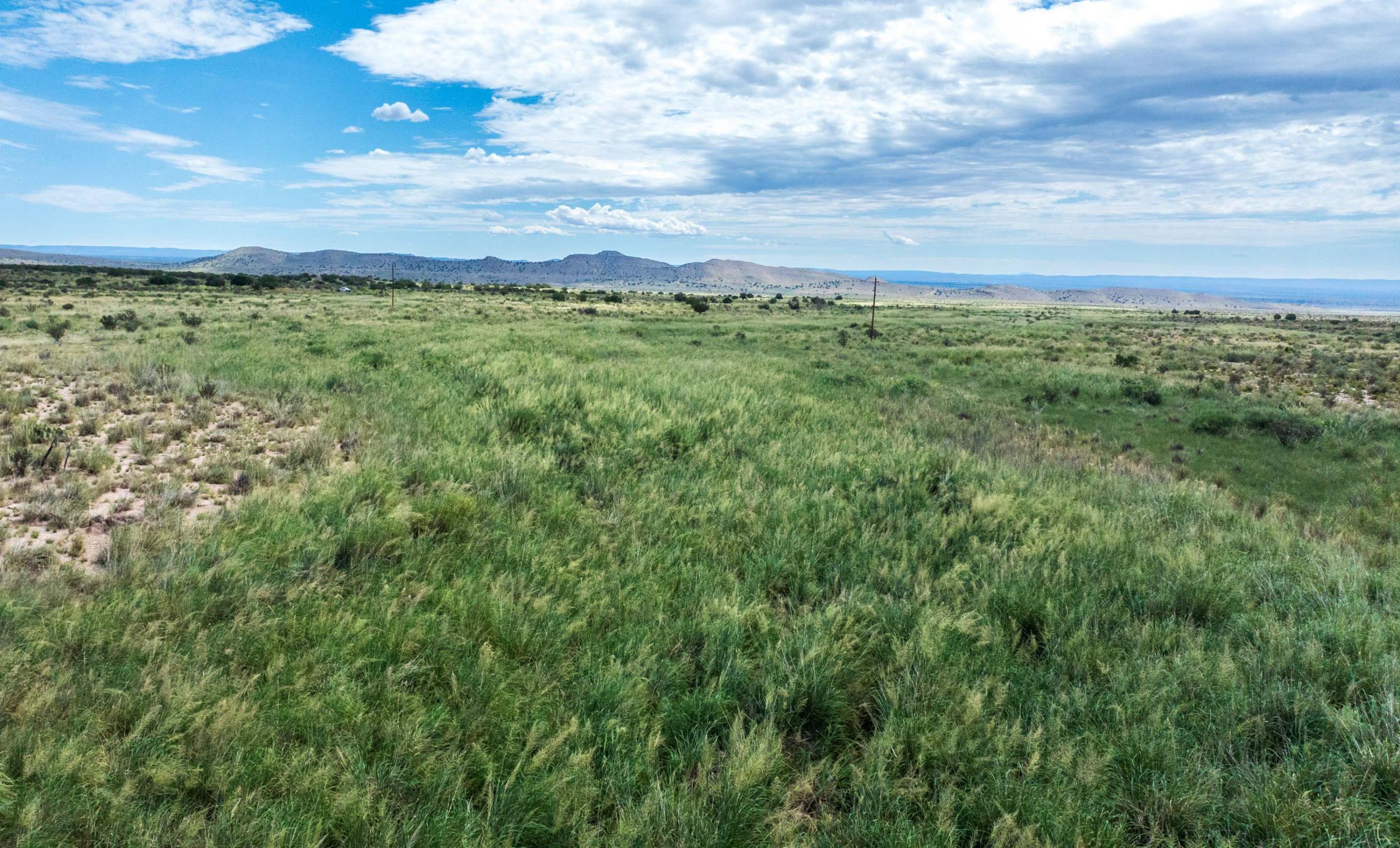 Sierra Larga Ranch property photograph 30