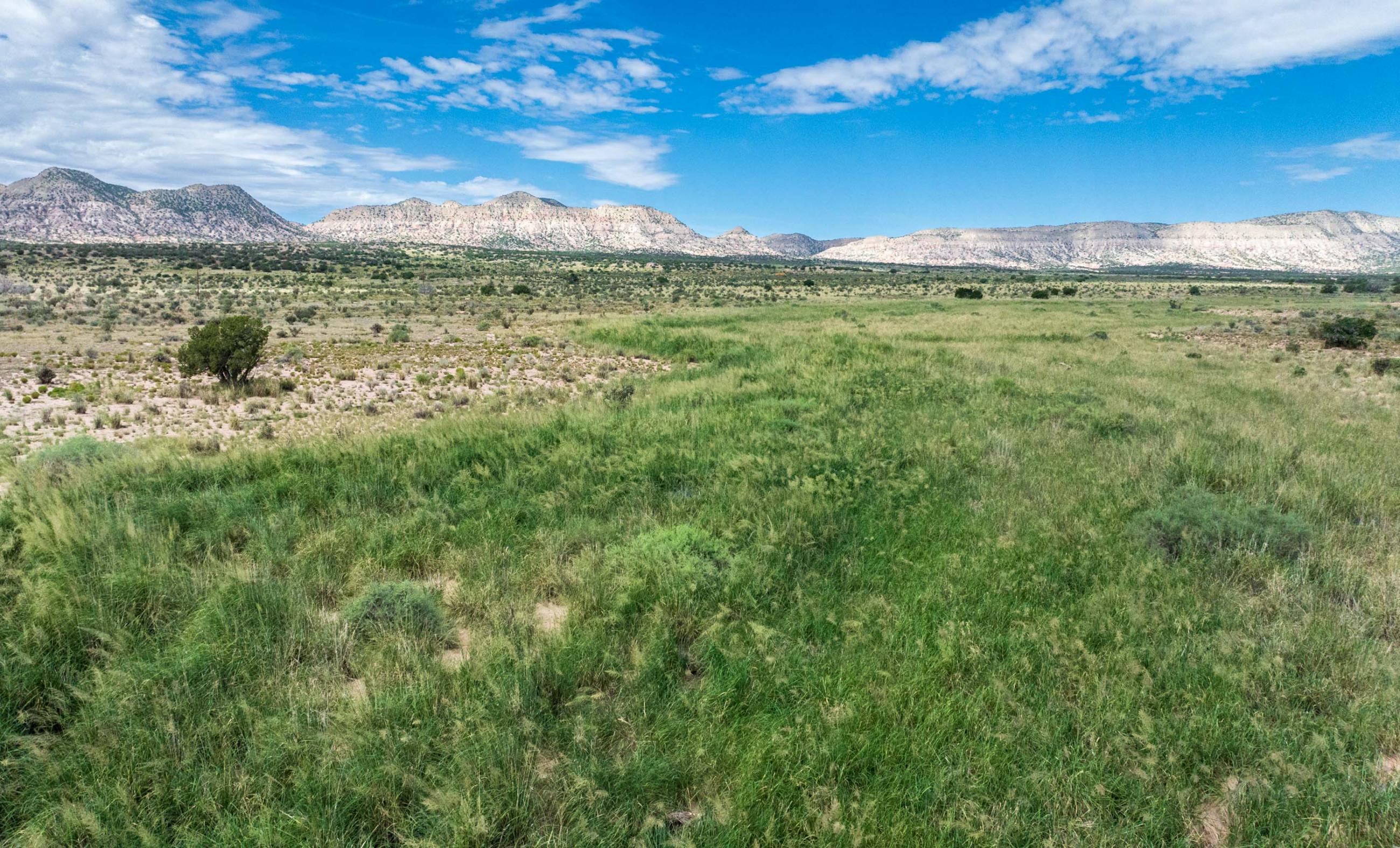 Sierra Larga Ranch property photograph 7