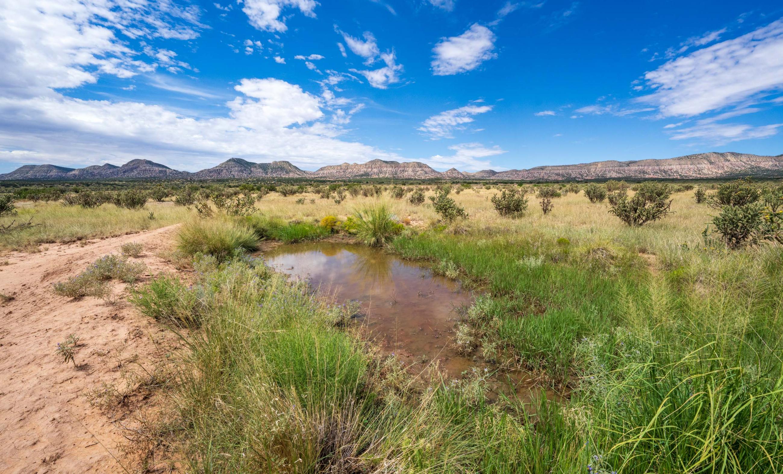 Sierra Larga Ranch property photograph 1
