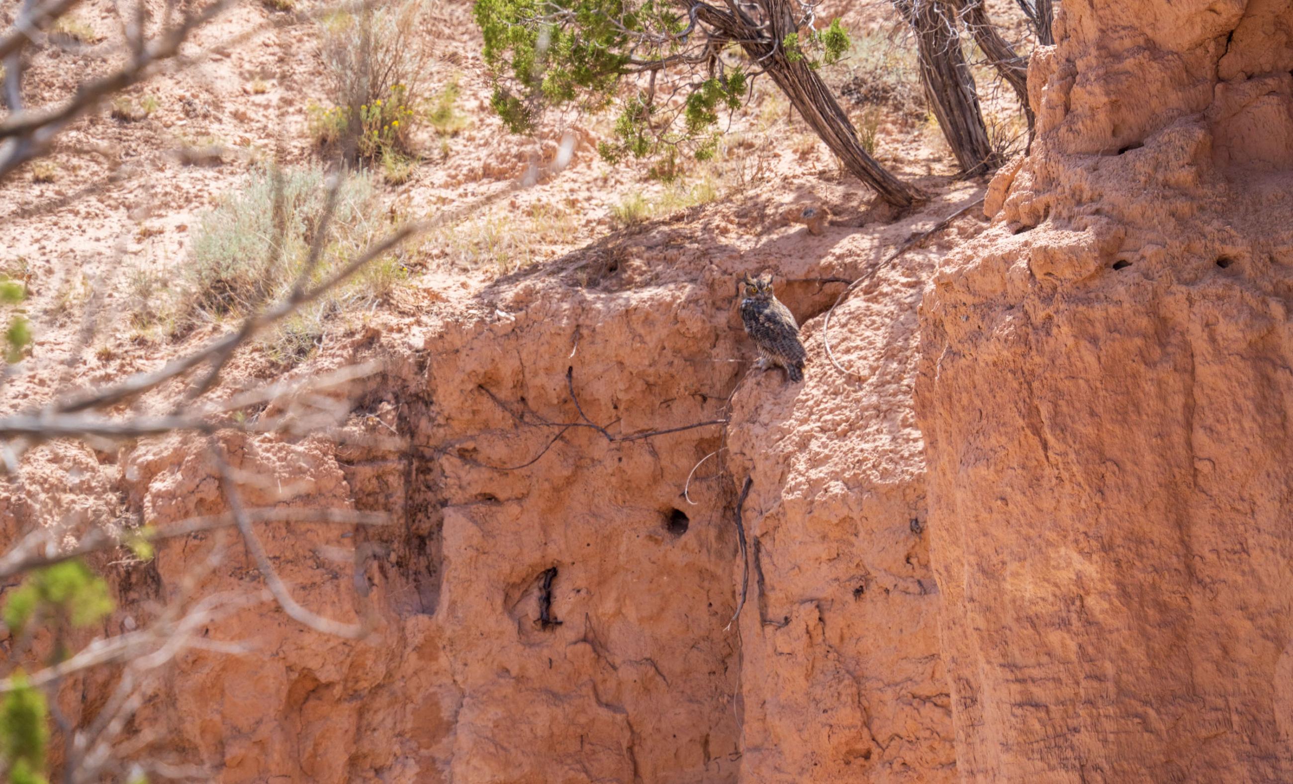 Sierra Larga Ranch property photograph 20