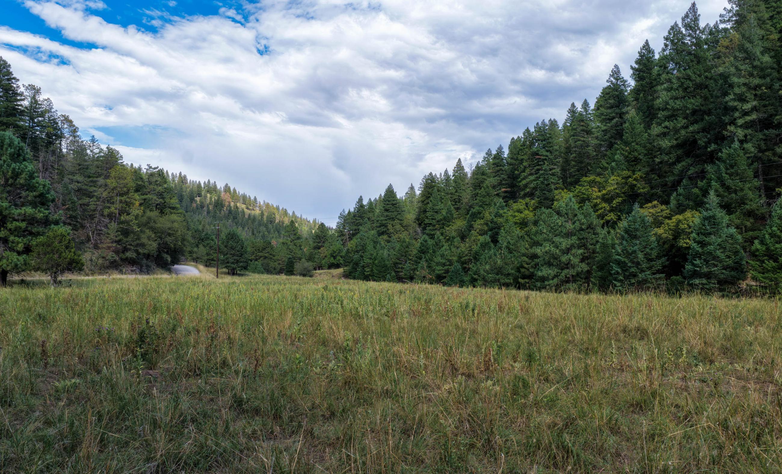 Rio Peñasco River Ranch property photograph 18