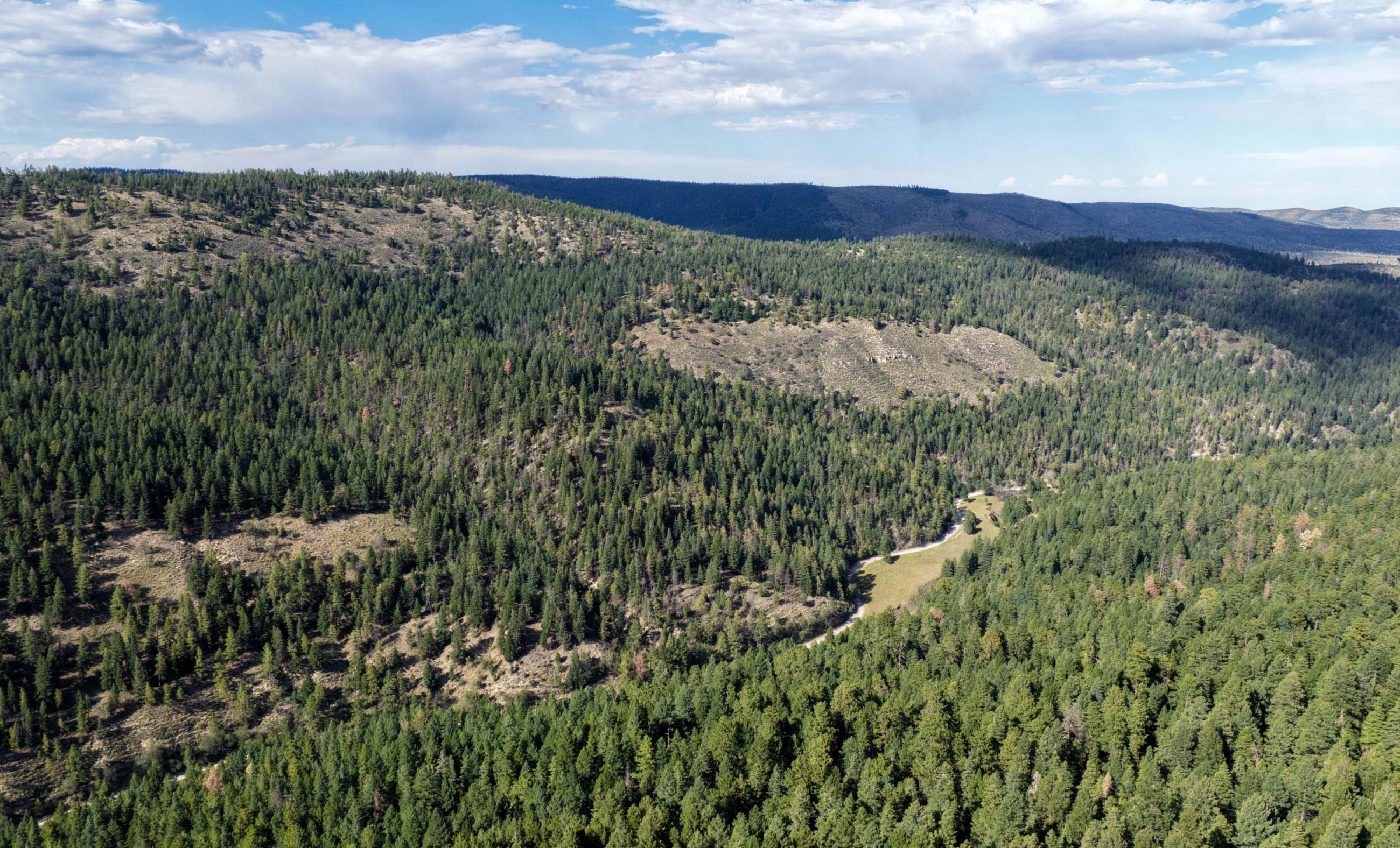 Rio Peñasco River Ranch property photograph 29