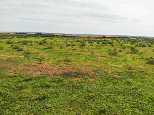 Tidwell Kent County 166