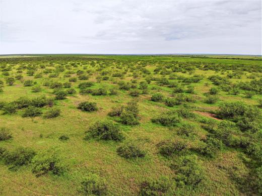 Tidwell Kent County 334