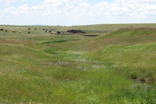 Sumpter Johnson Mesa Ranch