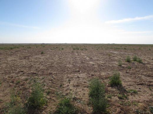 Wiggins/Carpenter Farm