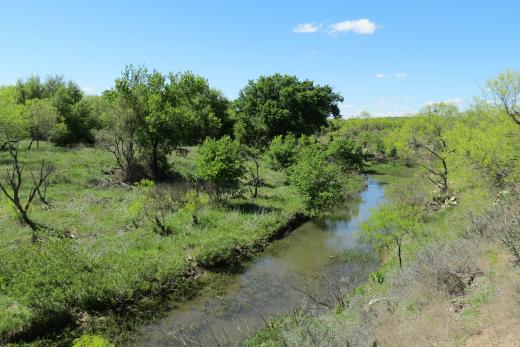 Snyder Family Ranches – Seales Pasture