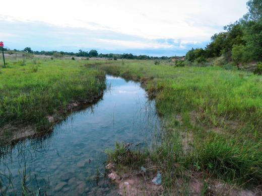 Whitefish & Rock Creek