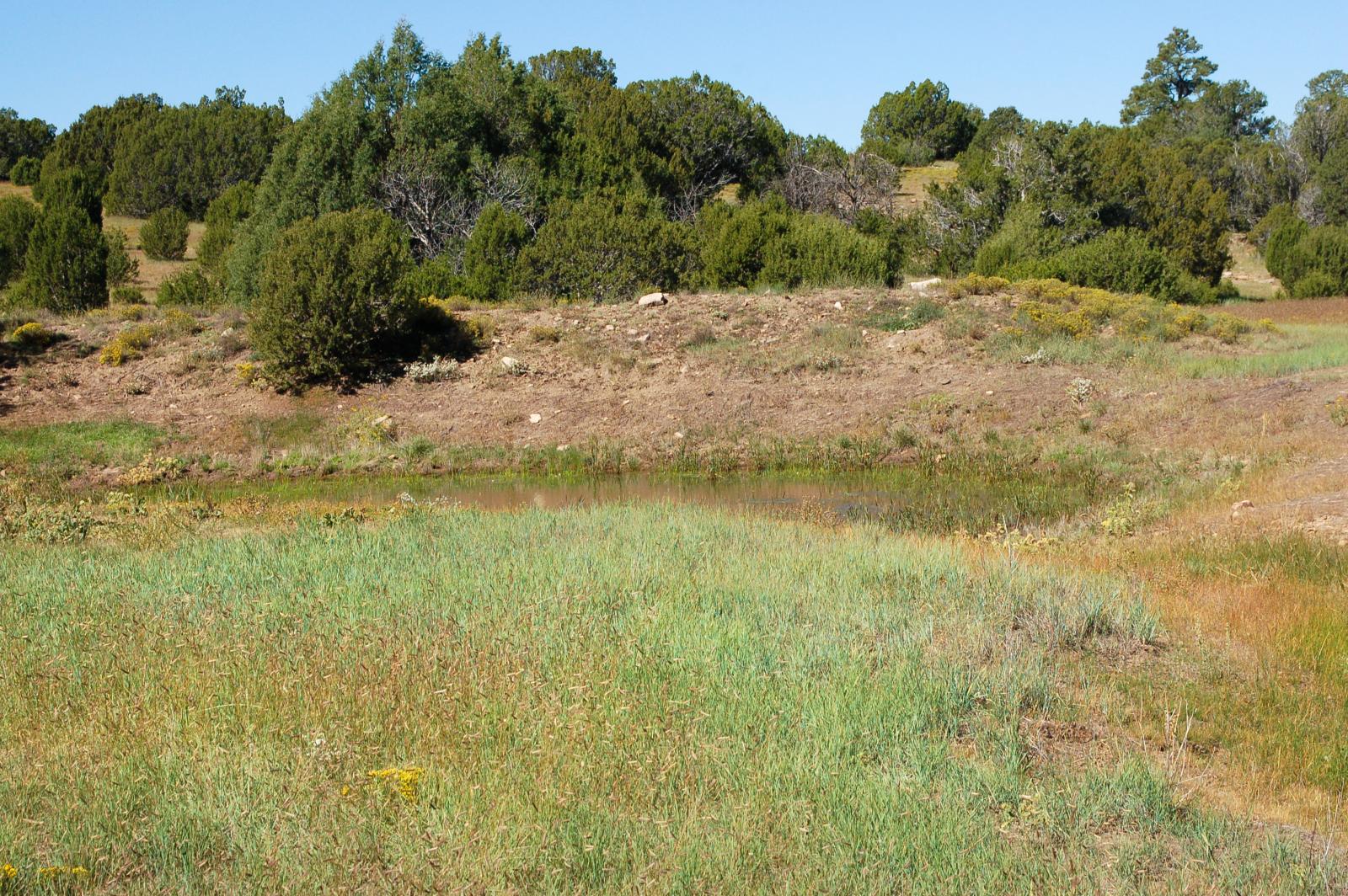 Eldorado Ranch Chas S. Middleton