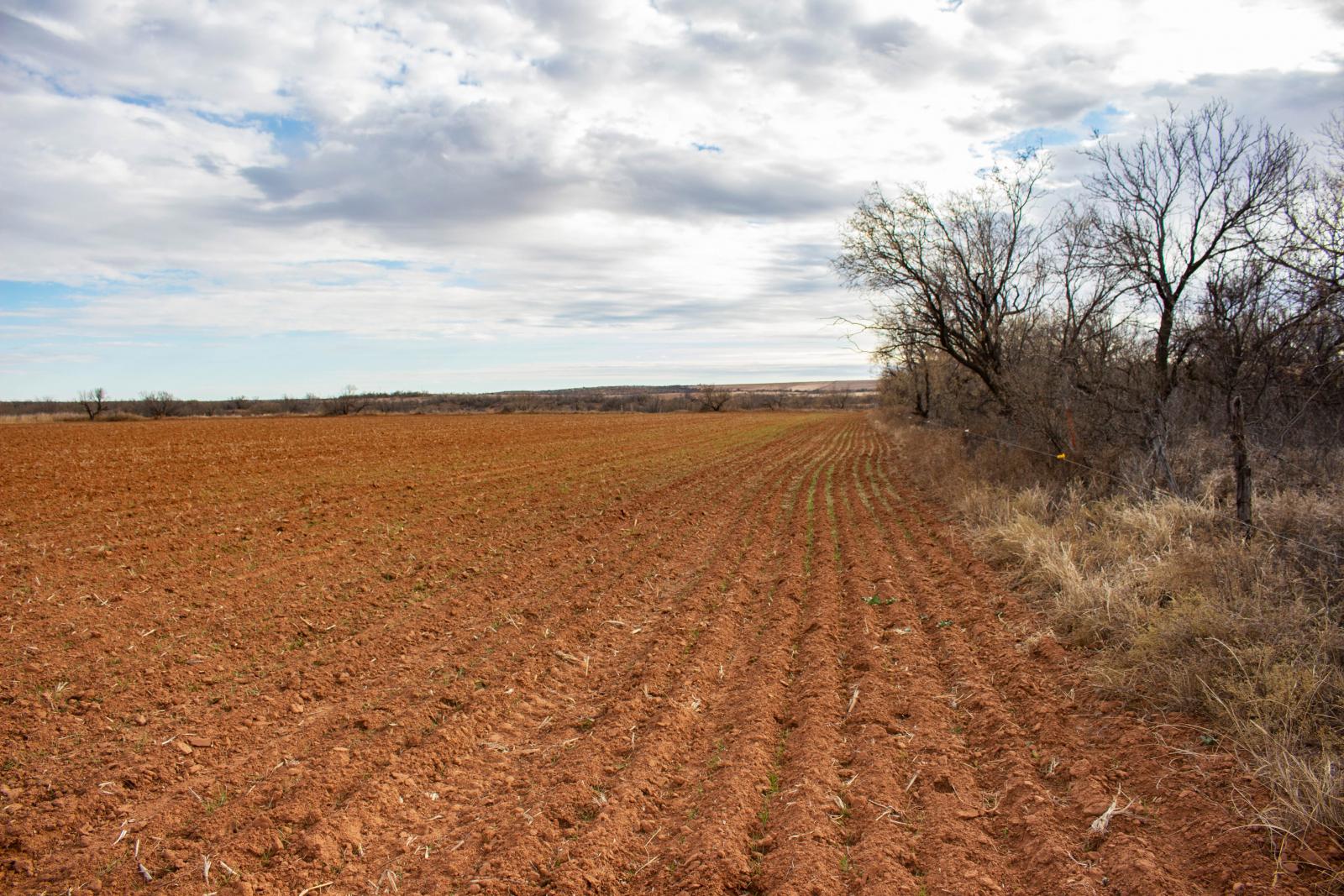 Jonah Creek Ranch Chas S. Middleton