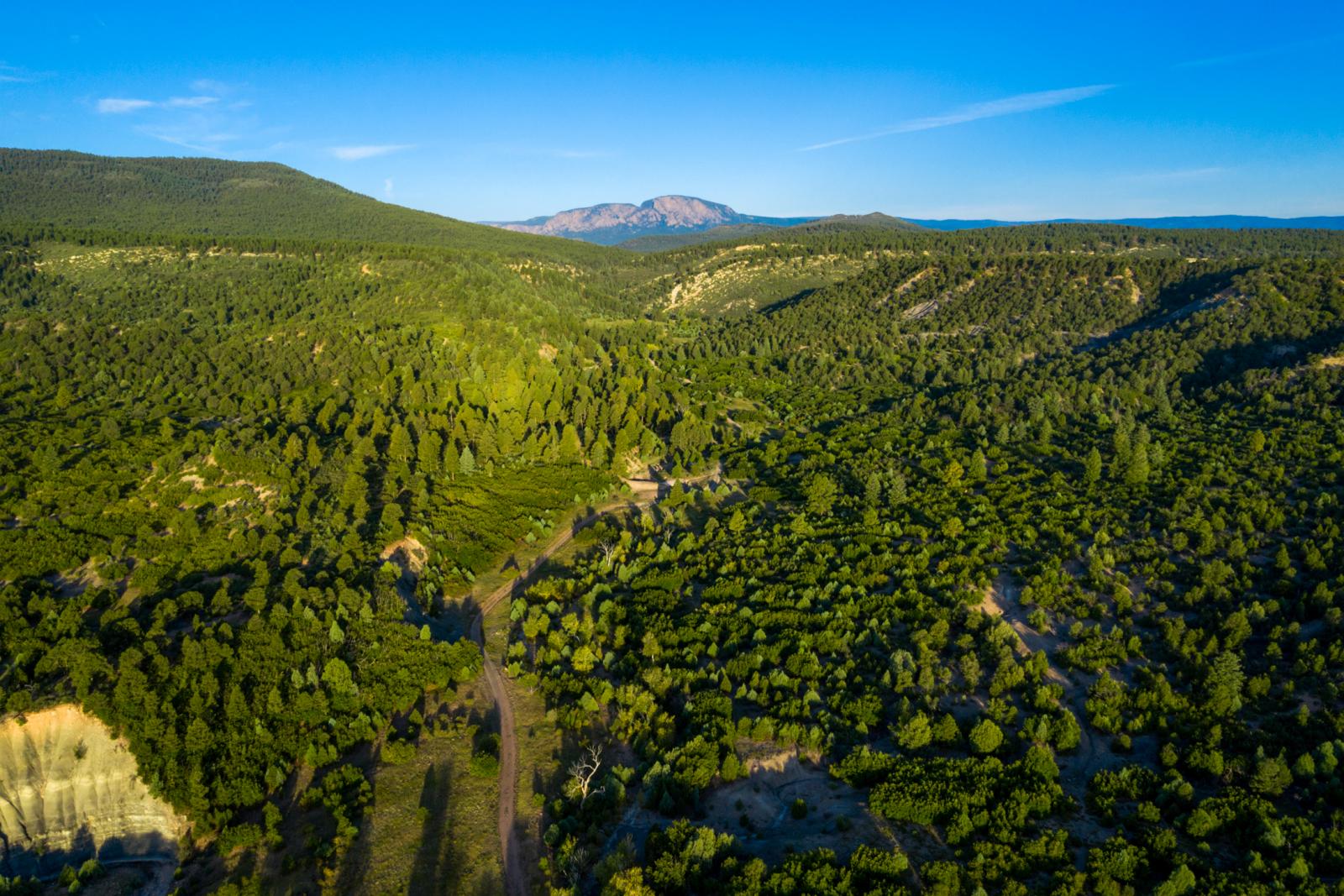 La Bonita Ranch Chas S. Middleton