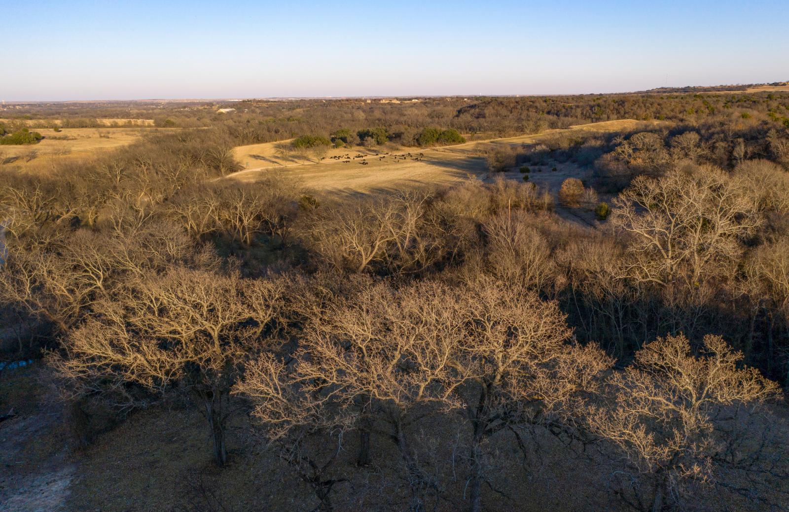 Mistletoe Ranch | Chas S. Middleton