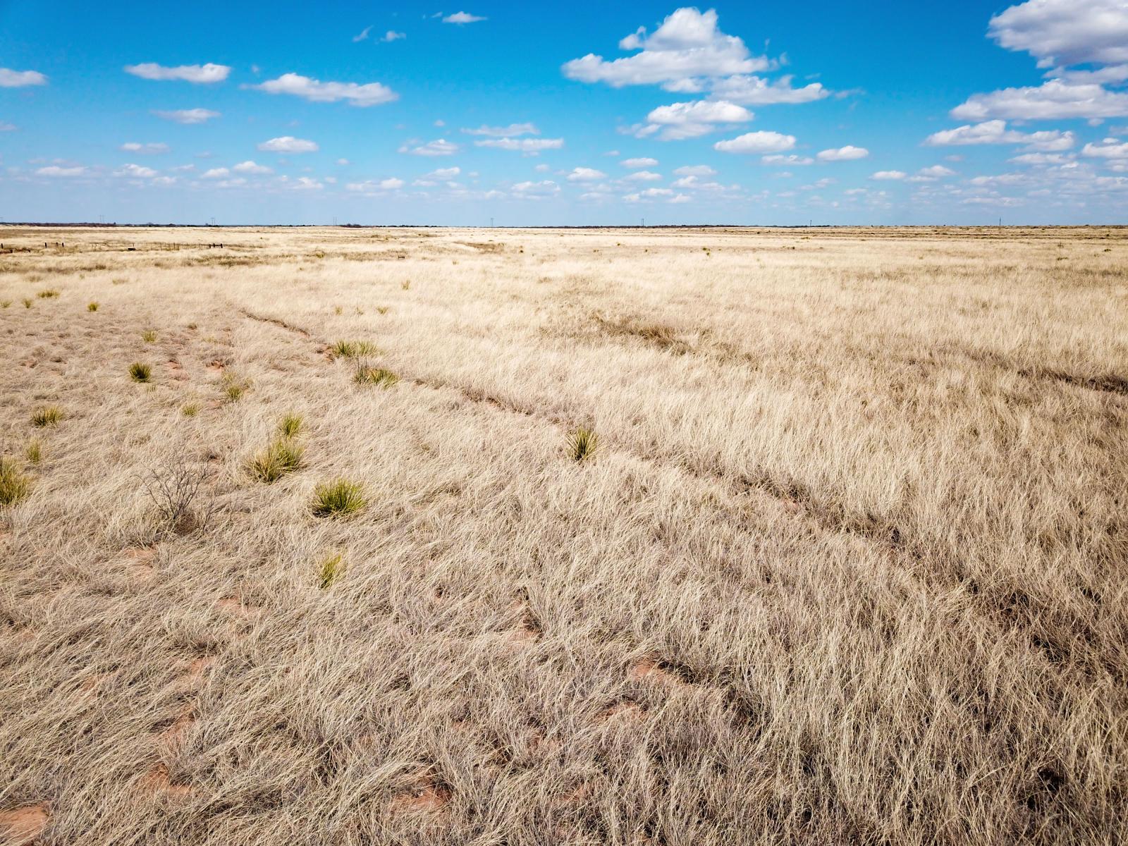 Roadrunner Ranch Chas S. Middleton
