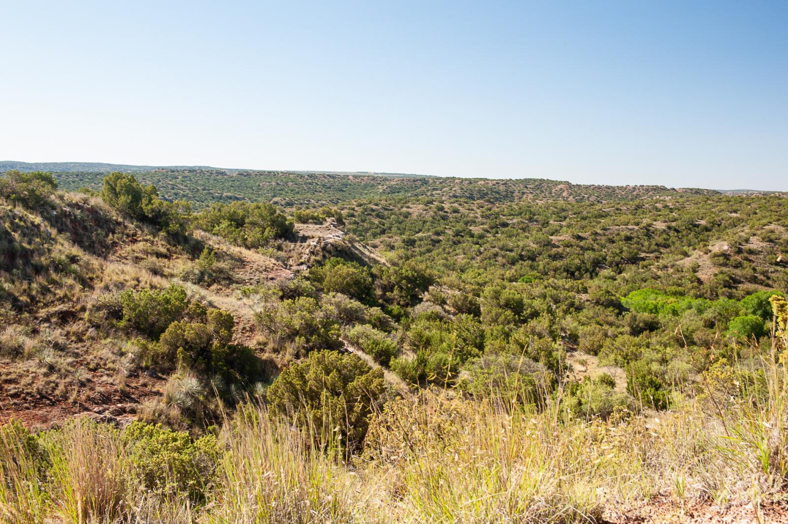 Smith Ranch Chas S. Middleton