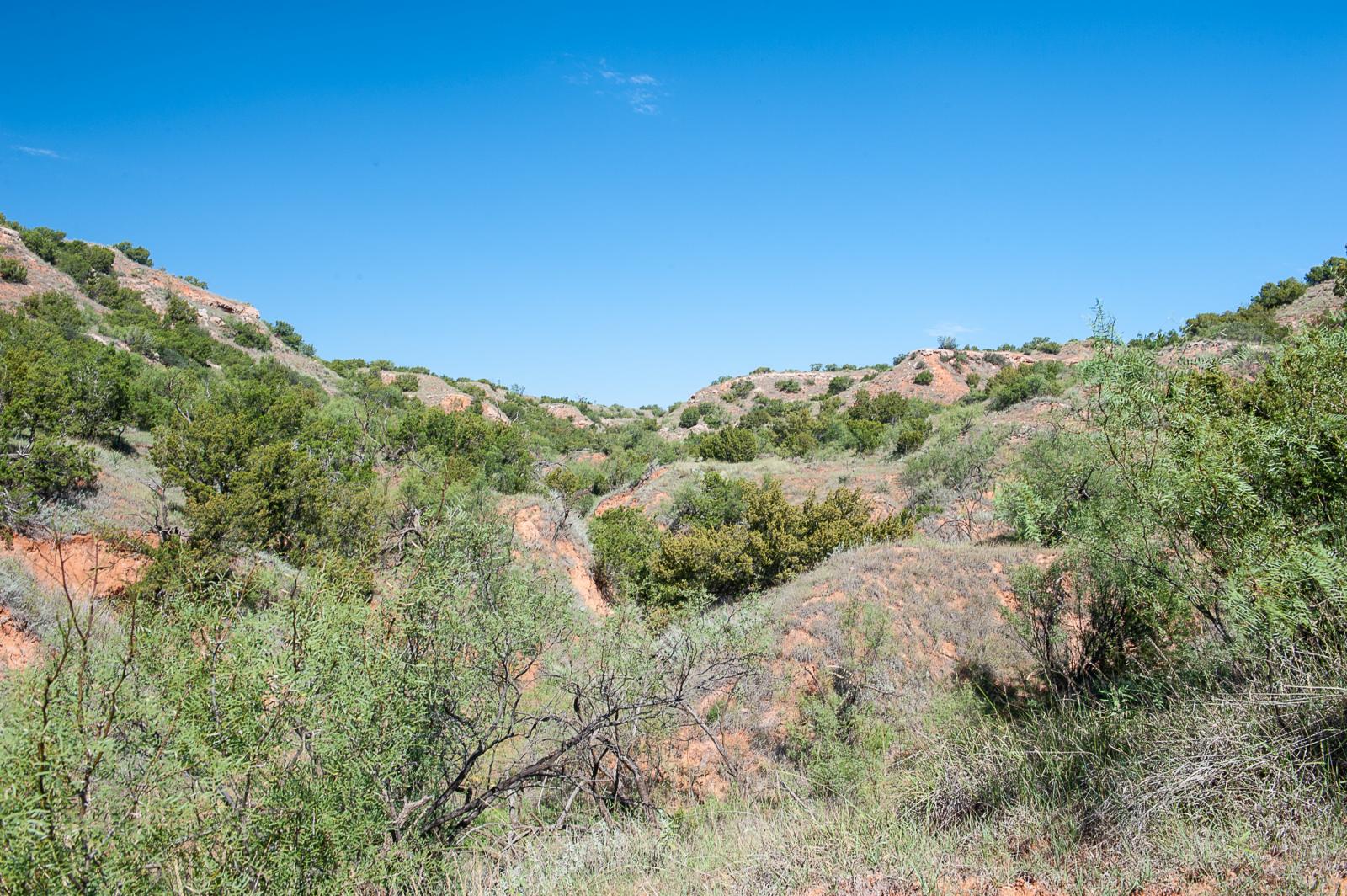 Smith Ranch Chas S. Middleton