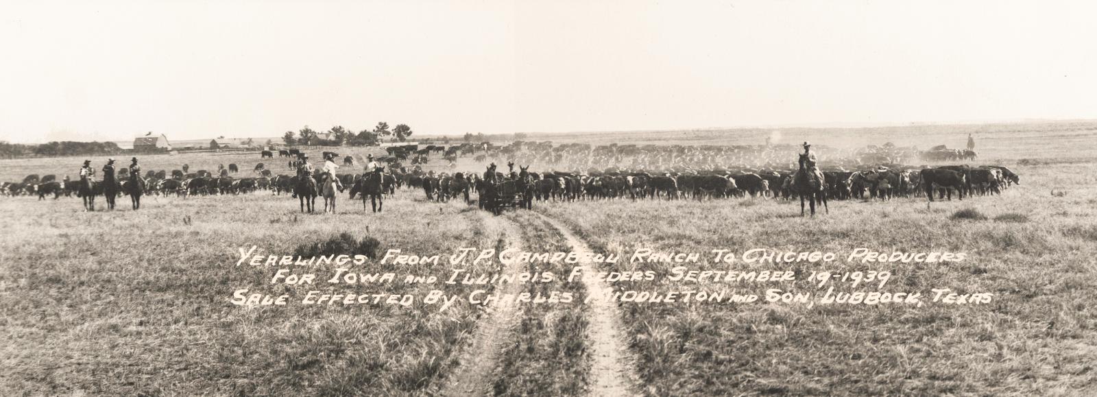 Chas S Middleton and Son History