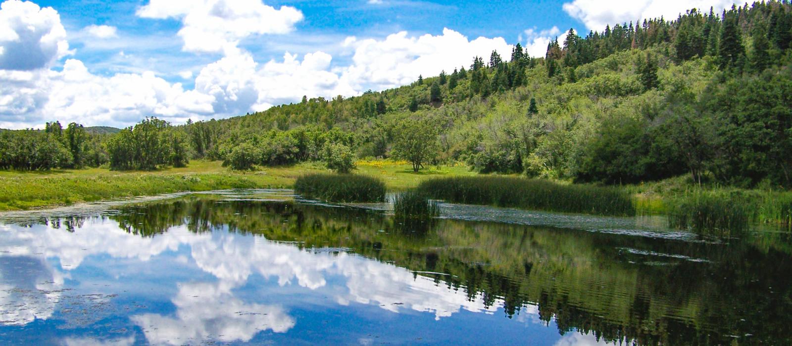 New Mexico Waterfront Land for Sale Chas S. Middleton