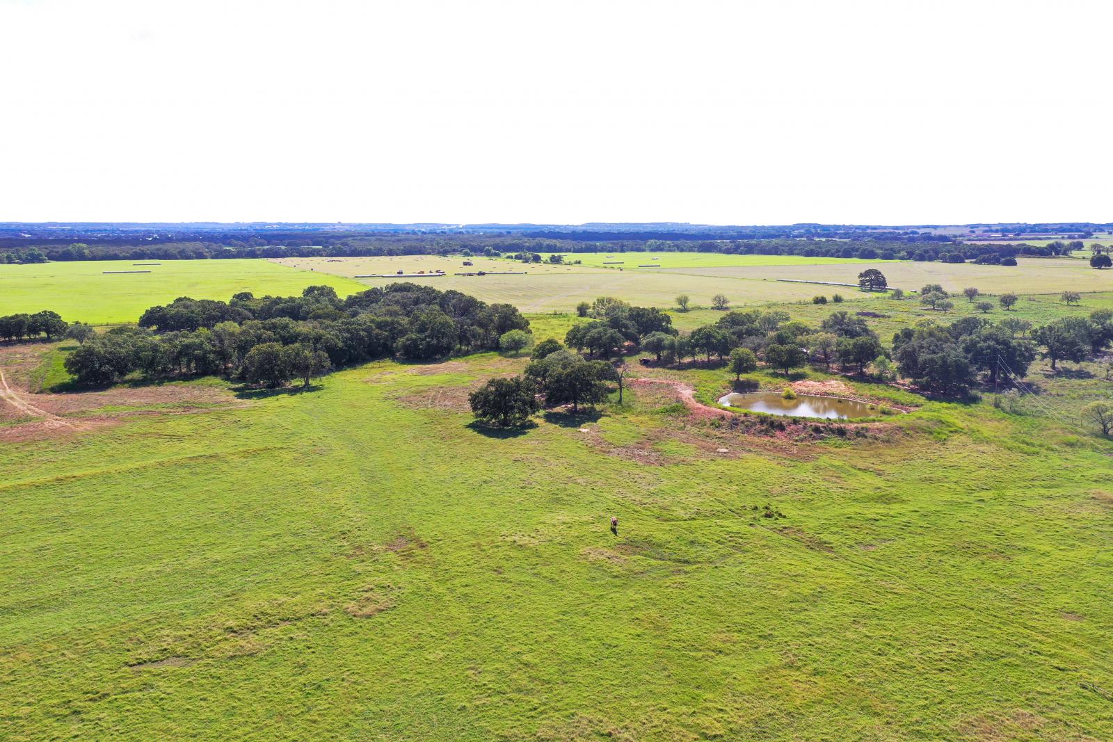 Lipan Coastal Farm and Ranch Chas S. Middleton