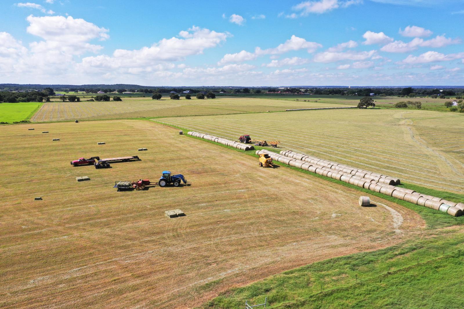 Lipan Coastal Farm and Ranch | Chas S. Middleton