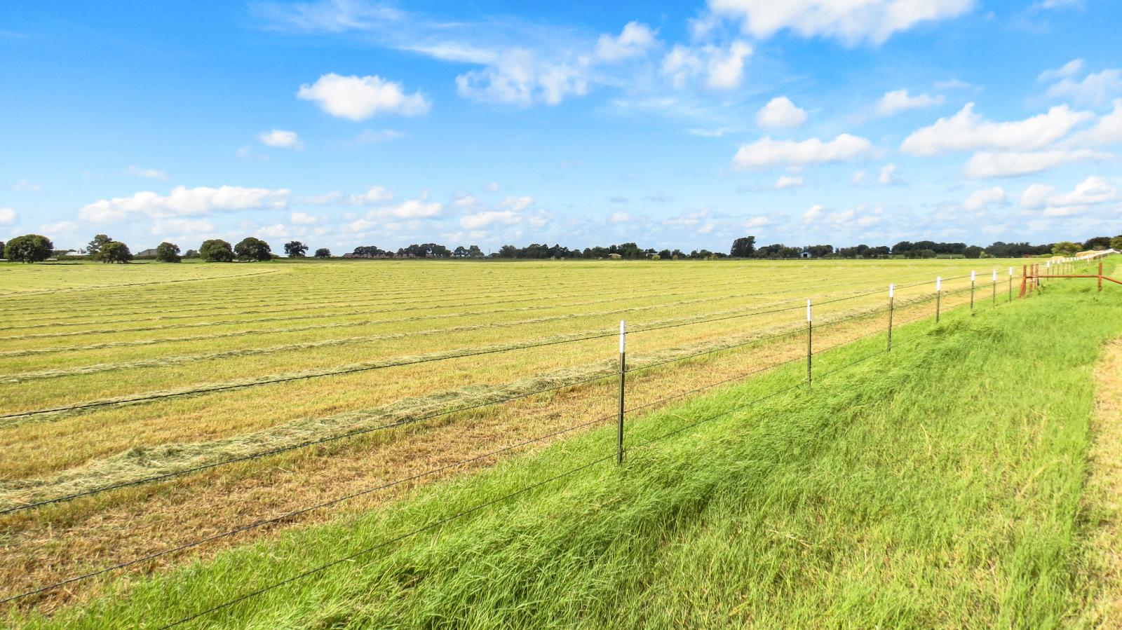 Lipan Coastal Farm And Ranch Chas S Middleton Lipan coastal farm and ranch chas s middleton