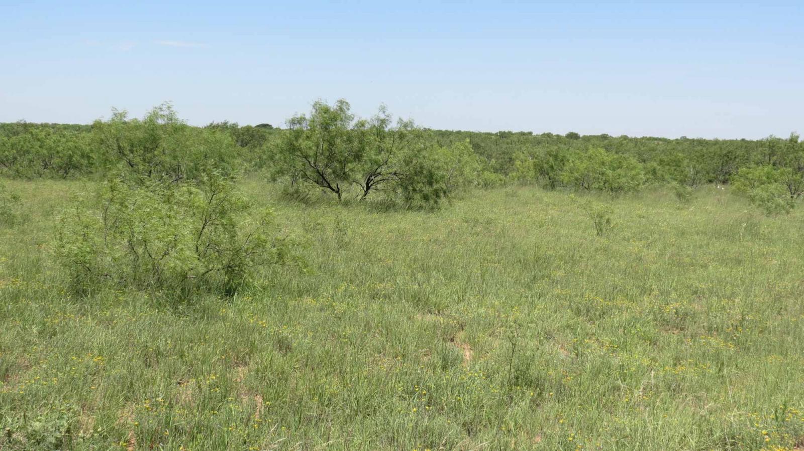 Boyd Ranch Chas S. Middleton