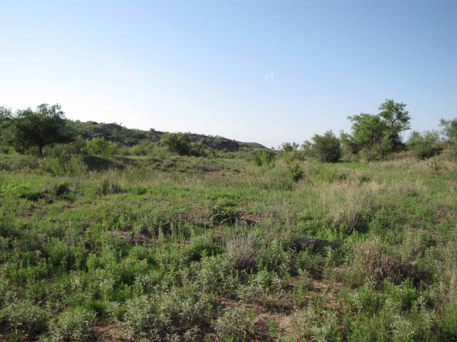 Brazos River Farm and Ranch Chas S. Middleton