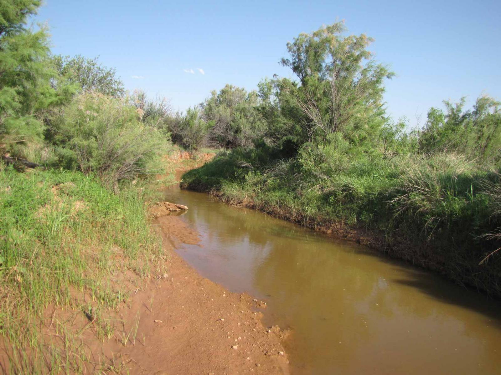 Brazos River Farm and Ranch Chas S. Middleton
