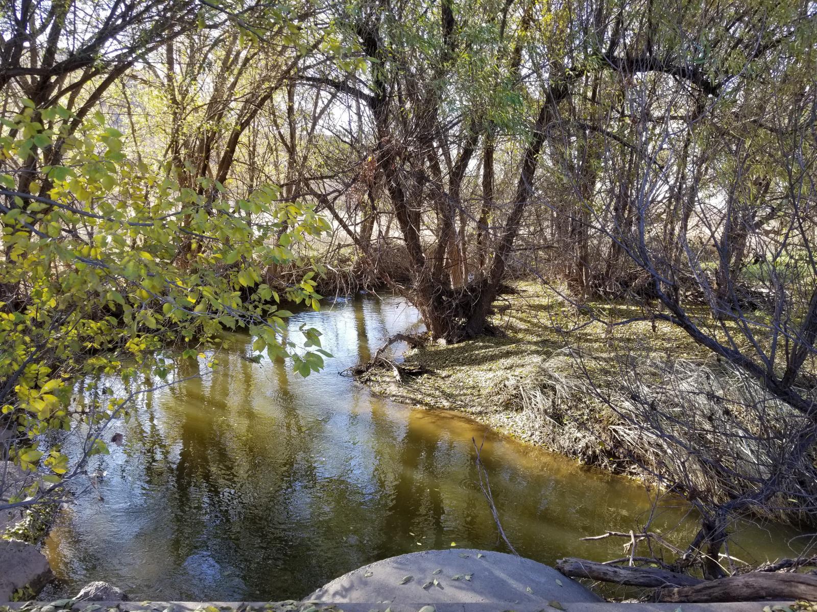 Ransom Canyon Ranch Chas S. Middleton