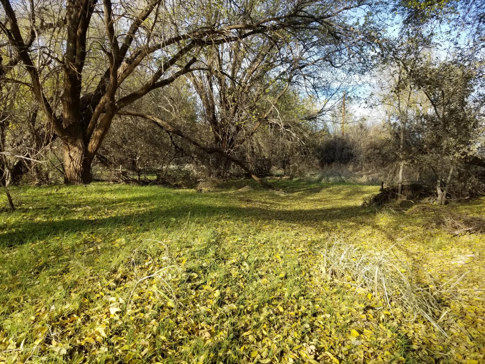 Ransom Canyon Ranch Chas S. Middleton