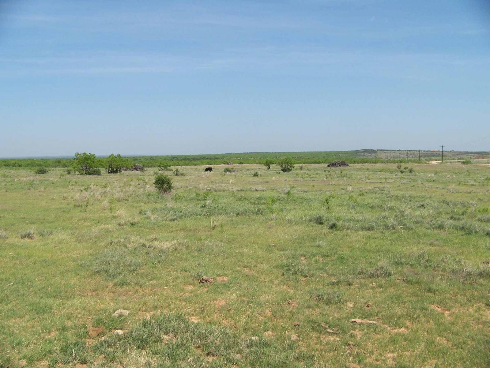 Covered S Ranch | Chas S. Middleton