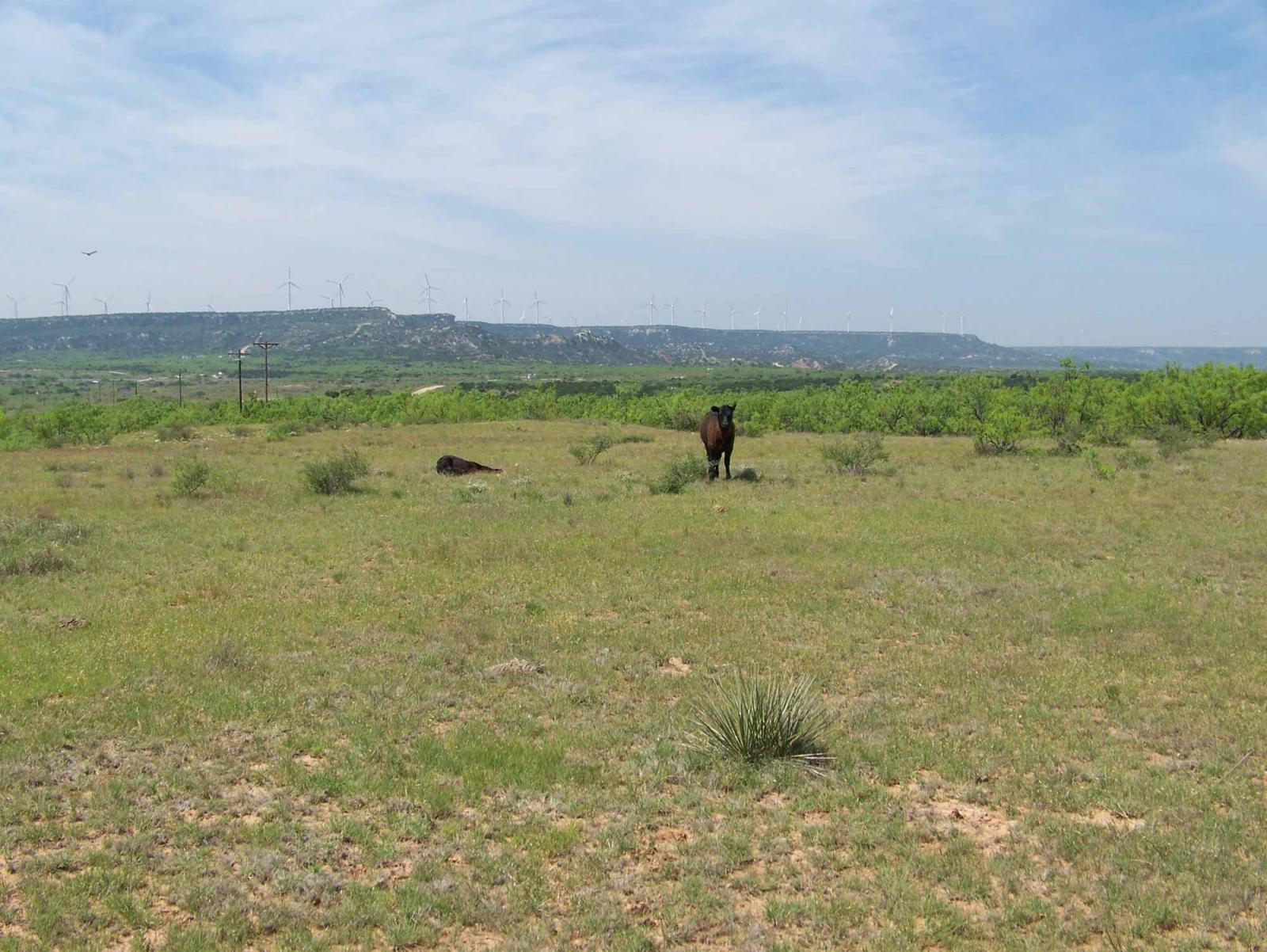 Covered S Ranch | Chas S. Middleton