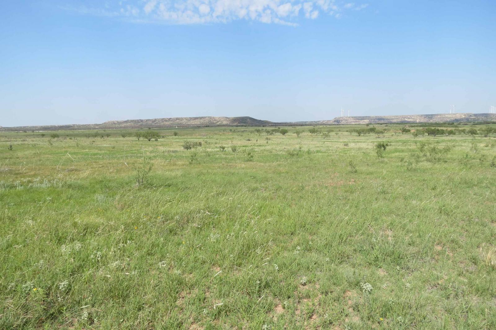 Covered S Ranch | Chas S. Middleton