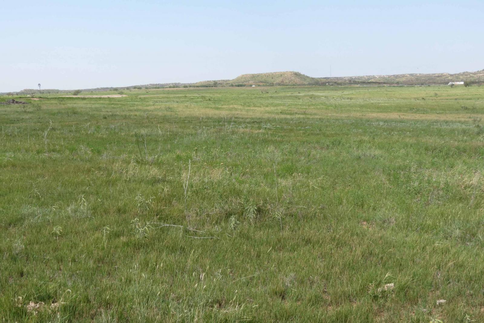 Covered S Ranch | Chas S. Middleton