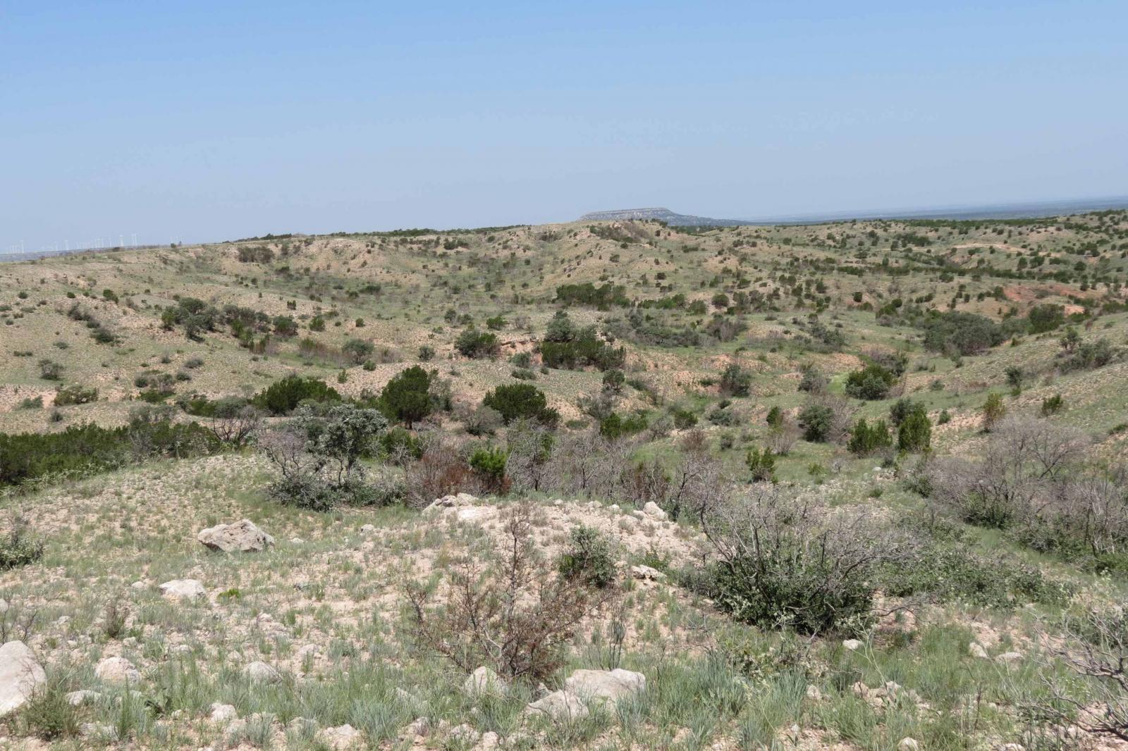 Covered S Ranch | Chas S. Middleton